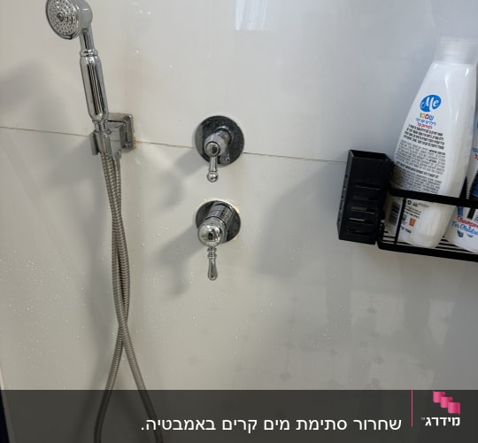 ראש מקלחת וכפתורי שליטה במקלחת